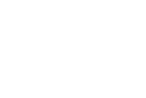 Budweiser