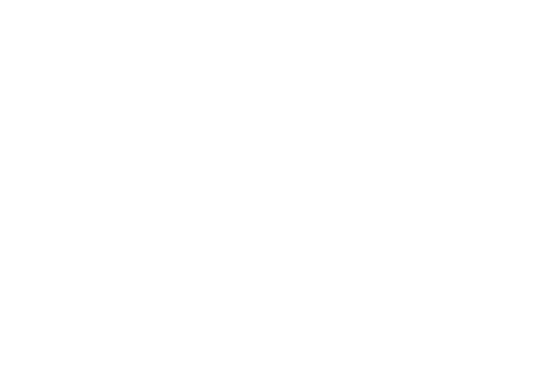 Hoops Sports