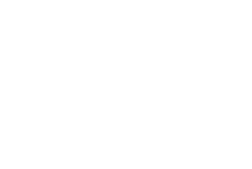 WNBA